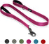 TwoEar 4FT 1IN Strong Rose Dog Leash, 2 Padded Handles, Traffic Handle for Extra Control, Reflective Lead for All Dogs