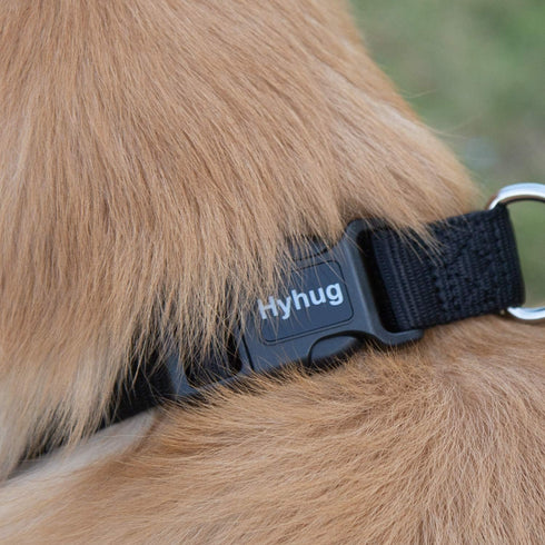 Hyhug Classic Regular Solid Color Collection Pup Dog Collar, Small, Black