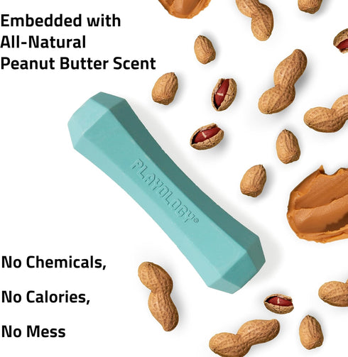 Playology Dog Toy for Medium Breeds (15-35lbs) - Squeaky Chew Stick, All-Natural Peanut Butter Scented, Easy to Clean