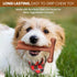 SPOT Bam-bones PLUS T Bone, Durable Bamboo Fiber & Nylon Chew Toy for Aggressive Chewers, 7in