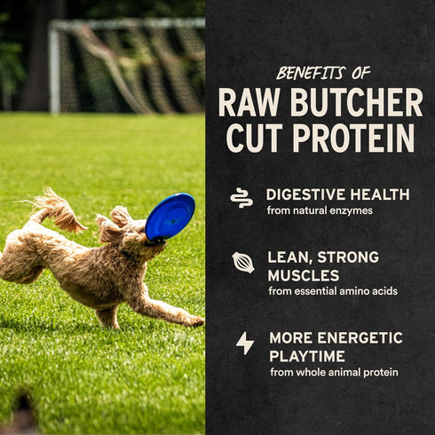 9 oz Vital Essentials Freeze Dried Raw Chicken Necks Dog Treats | Single Ingredient | Premium Quality | Grain Free