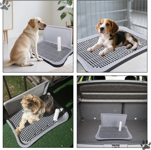 Dmnnlp 20"x15.5"x1.4" Indoor Dog Potty Tray with Splash Guard, Pee Pad Holder for Puppies & Small Dogs, Waterproof