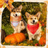 60 Sweetude Pcs Fall Dog Bandanas Bulk Plaid Bandanas for Dogs Autumn Thanksgiving Pet Scarf Bibs Adjustable Triangle