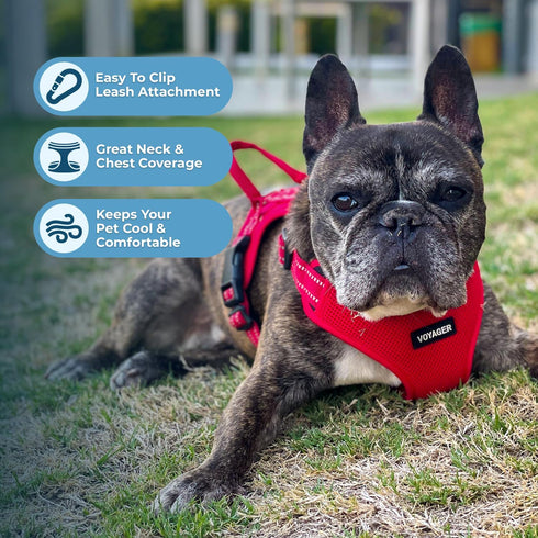 Best Pet Supplies Voyager Adjustable Dog Vest Harness, Breathable No Pull Harness for Small to Large Dogs, Red