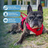 Best Pet Supplies Voyager Adjustable Dog Vest Harness, Breathable No Pull Harness for Small to Large Dogs, Red