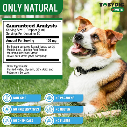 Natural Dog Cough Medicine - Antibiotic for Cats Respiratory Infection, Sneezing Relief & Kennel Cough Treatment