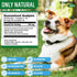 Natural Dog Cough Medicine - Antibiotic for Cats Respiratory Infection, Sneezing Relief & Kennel Cough Treatment