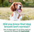 TropiClean Fresh Breath Oral Care Spray for Dogs & Cats | Dog Breath Spray | Mint Breath Freshener, 4 oz