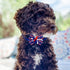 24PCS 4th of July Dog Bow Tie Collar - Adjustable Star Stripe Patriotic Pet Bow Tie for Independence Day