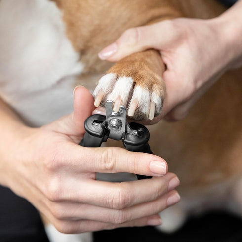 Tweezerman Dog and Cat Nail Clipper for Small Pets