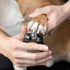 Tweezerman Dog and Cat Nail Clipper for Small Pets
