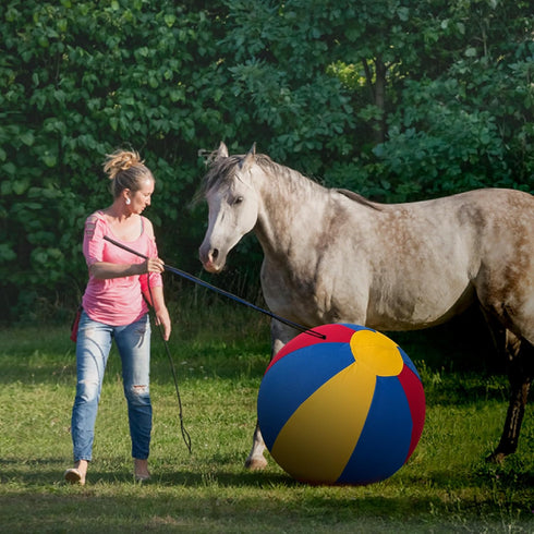 25" ANC POP Herding Ball for Dogs Horse & Cover Ball for Horses Large with Hand Pump for Play Horse Toys for Horses