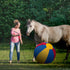 25" ANC POP Herding Ball for Dogs Horse & Cover Ball for Horses Large with Hand Pump for Play Horse Toys for Horses