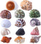 14 Kind Natural Hermit Crab Shells 14PCS, Size 1" - 3.5", Opening 0.8" - 1.5", Pearl Turbo Seashell Décor