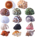 14 Kind Natural Hermit Crab Shells 14PCS, Size 1" - 3.5", Opening 0.8" - 1.5", Pearl Turbo Seashell Décor