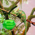 AUEAR 2 Pack Reptiles Suction Cup Feeder - Chameleon Feeding Bowl Water Dish Gecko Ledge Supplies for Lizards