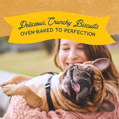 Natural Balance Limited Ingredient Rewards Crunchy Biscuits, Duck Recipe, Grain-Free Dog Treats, 28 oz