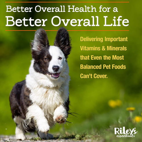 Riley's Multi-Essentials Multivitamin for Dogs - Vitamins, Minerals, Spirulina, Kelp, Milk Thistle - 8oz Powder