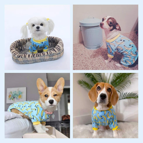 CuteBone Soft & Stretchy Dog Pajamas - Cozy Breathable Jumpsuit for Small Dogs - All-Season Easy-On Pullover Design P06S