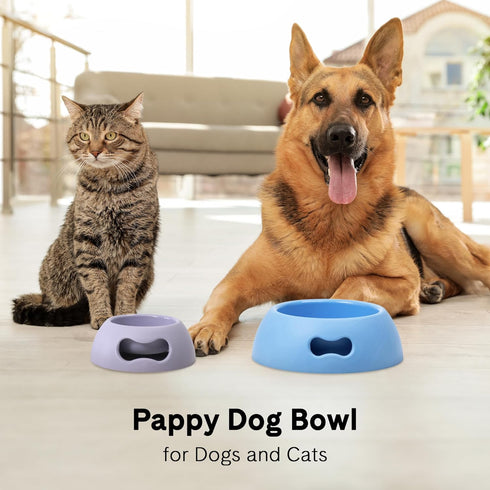 United Pets Pappy Dog Bowl for Dogs and Cats, BPA Free, Eco-Friendly, Made in Italy, Pink - 12 Oz