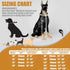 Stainless Steel Dog Chain Collar, 19mm Cuban Link with Snap Buckle and Dog Tag for Puppy Small Medium Large Dogs (24")
