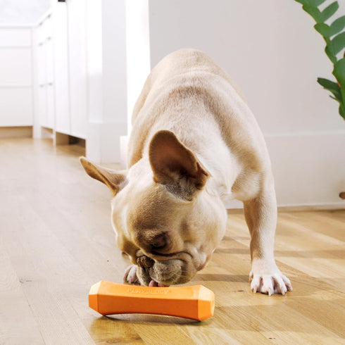 Playology Squeaky Dog Toy Fetch Stick, Durable Rubber Toys for Medium Dogs, Cheddar Cheese Scented Floating Toy