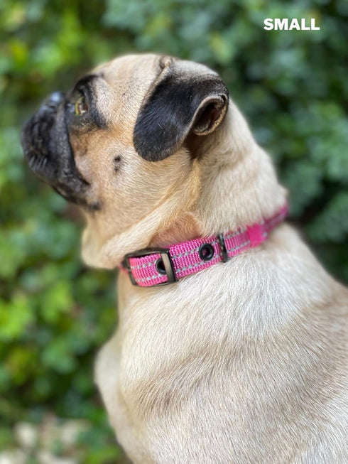 Heavy Duty Dog Collar with Handle | Ballistic Nylon Padded Reflective Collar with Adjustable Stainless Steel Hardware