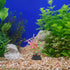 POPETPOP 40 Pcs Mini Plants Artificial Seaweed Aquarium Plants, Small Fake Aquarium Plant Decor for Betta Fish