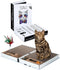 All-in-One Cat Scratcher Pad and Play Area, Foldable Book-Shaped Cardboard with 2 Reversible Scratch Pads