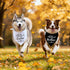 2 Pack Dog Bandanas for Pregnancy Announcement, Cute Adjustable Pet Bandana Scarf for Small Medium Large Dogs, Gender