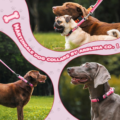 Martingale Dog Collar, Pink Light-Reflective Polyester for Whippets, Greyhounds, No-Pull No-Escape Adjustable Collars