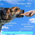 Native Pet Yak Chews (5 Small Chews) - Yak Milk Chews for Puppies & Small Dogs - Puppy Teething Toys