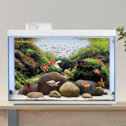 AWERT 36x20 inches Stone Aquarium Background, Aquatic Plant River Bed & Lake Seaweed Vinyl