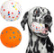 2 Pack 3'' Durable Dog Balls for Aggressive Chewers, Indestructible Floating Balls for Training Fetch