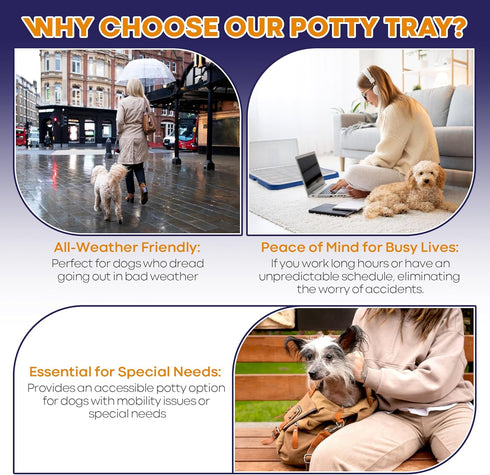 Welpe Dog Potty Tray with Pee Pad Holder - Perfect Indoor Potty Training Solution for Small and Medium Dogs. Say