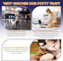 Welpe Dog Potty Tray with Pee Pad Holder - Perfect Indoor Potty Training Solution for Small and Medium Dogs. Say