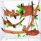 Hamiledyi 5PCS Hanging Bed & Hideout Set - Cotton Hamster Hammock, Tunnel, Swing Accessories for Dwarf Hamster, Rat,
