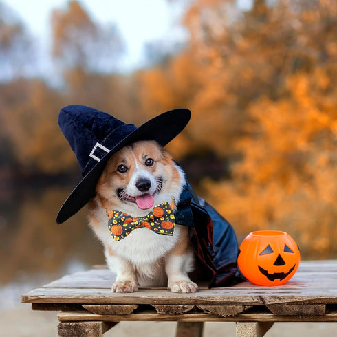 Halloween Dog Collar with Bow Tie, 2 Pack Holiday Pumpkin Ghost Collar for Boys and Girls Small Medium Large Pets