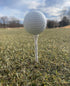 Funny Personalized White Talk Birdie to Me Golf Tees with Black Mesh Bag, 70 mm, 35 Count, Fun Golf Accessory