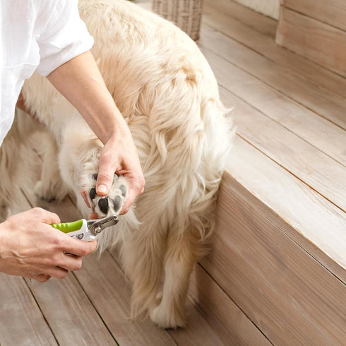 Trimmer, Dog Nail Clippers with Safety Guard - Pet Nail Clippers for Medium and Small Breed - Protective Nail Cutter