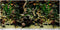 Penn-Plax DBC2448CB Double Sided Aquarium Background | Multi-Color | Measures 24"x48" | Easily add visual interest to your tank