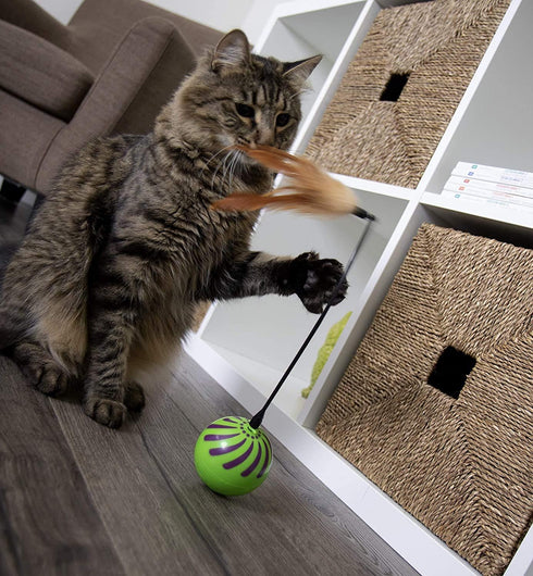(2 Count) (2) 2 Count SmartKat Feather Whirl Electronic Motion Wand Cat Toys, Includes Extra Wands, Battery Powered