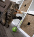 (2 Count) (2) 2 Count SmartKat Feather Whirl Electronic Motion Wand Cat Toys, Includes Extra Wands, Battery Powered