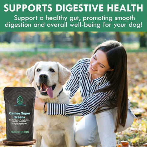 HOLISTIC BIN Canine Super Greens, Plant-Based Nutritional Dog Multivitamin for Skin, Coat, Bone & Digestive Health