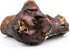 ROAM Pet Treats Large Gnaw-Kle Ostrich Knuckle Dog Chew for Medium to Large Dogs, 10.2 Ounce (Pack of 3)