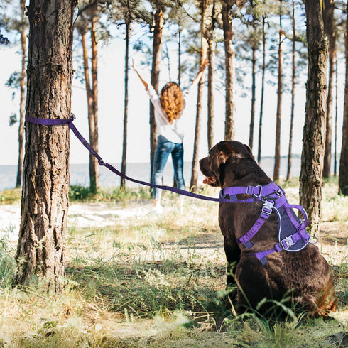 Heavy Duty Tactical Dog Leash for Medium and Large Dogs, 6 in 1 Hands Free for Training, 4-7FT Long Dog Leash, Green