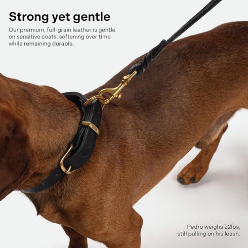 Scout Supply Classic Leather Dog Leash, Strong Heavy Duty Thick Full Grain Leather, Waterproof Brass Hardware