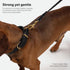 Scout Supply Classic Leather Dog Leash, Strong Heavy Duty Thick Full Grain Leather, Waterproof Brass Hardware