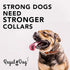 Regal Dog Products Small Orange Heavy Duty Reflective Dog Collar, Adjustable, Chew Proof & Waterproof