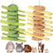Jwizyotr Rabbit Chew Toys for Teeth 2 PCS Guinea Pig Chews Treats Rat
